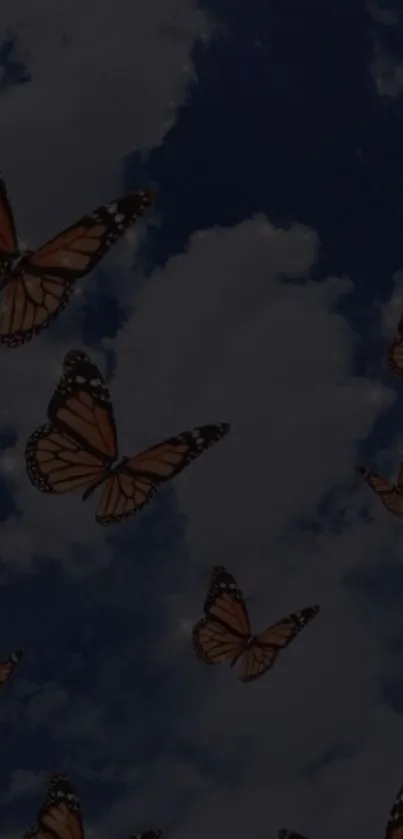 Monarch butterflies soaring in a cloudy blue sky wallpaper.