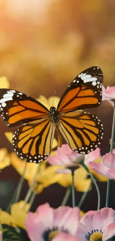 Monarch butterfly on colorful flowers mobile wallpaper.