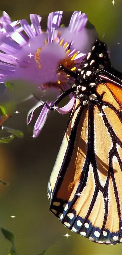 Monarch butterfly resting on a purple flower with a natural background.