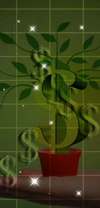 Money tree growing in hand with dollar symbol.