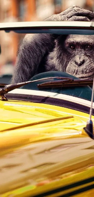 Monkeys driving a yellow car through a city street.