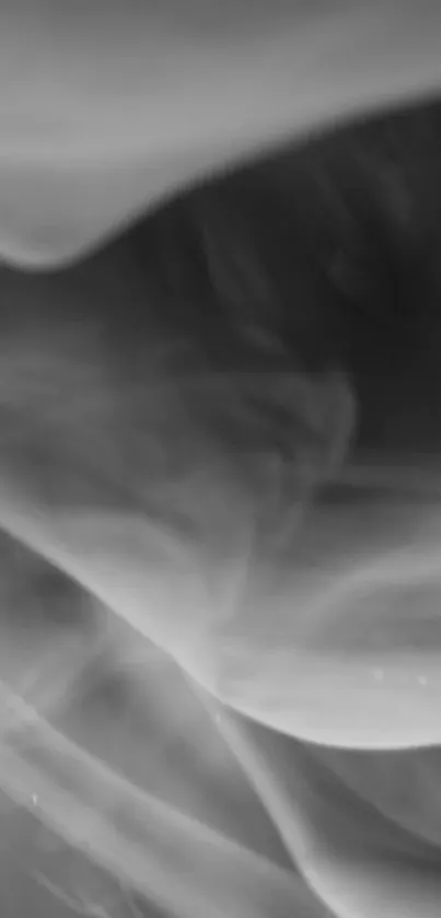 Elegant monochrome abstract smoke mobile wallpaper.