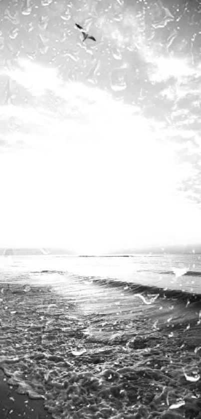 Black and white beach scene with waves and a bird.