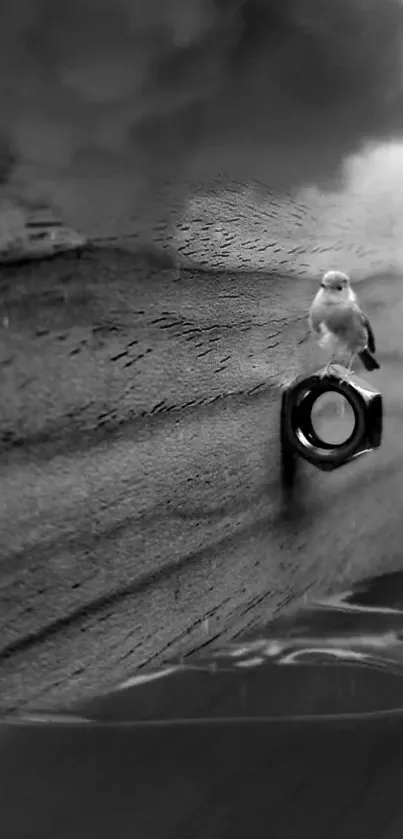 Monochrome rainy day with bird on textured wall.