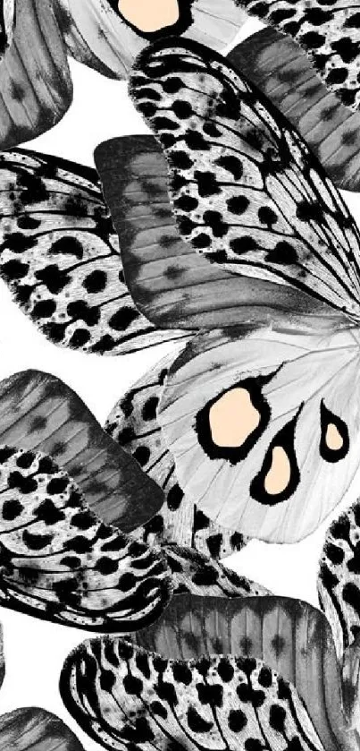 Monochrome butterfly pattern wallpaper with intricate artistic design.