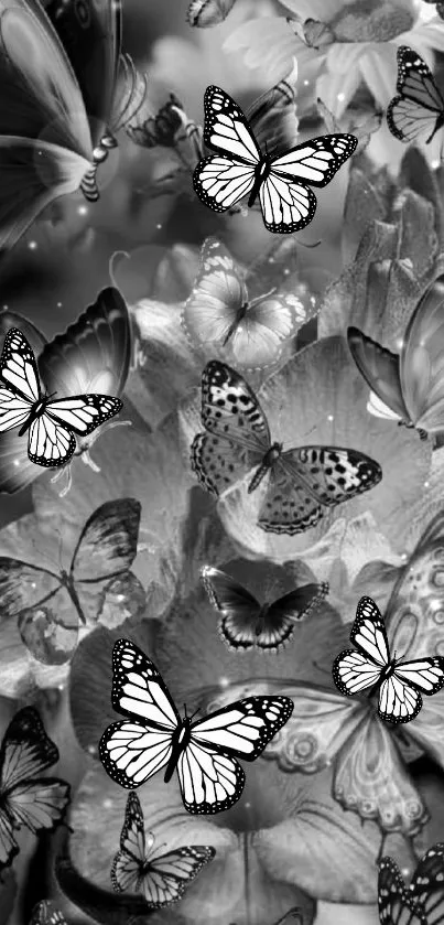 Monochrome butterfly wallpaper with intricate patterns and elegant design.