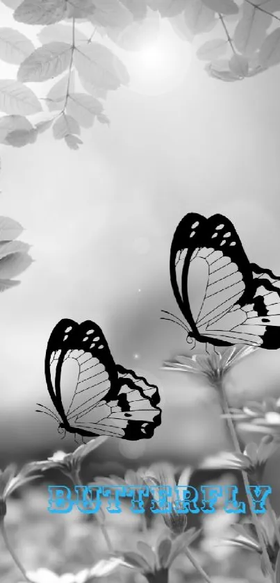 Black and white butterflies with leaves and flowers in a serene composition.