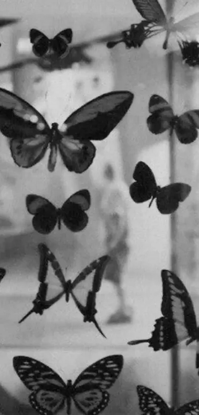 Black and white butterfly collage wallpaper for mobile.