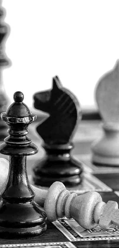 Black and white chess pieces on a board.