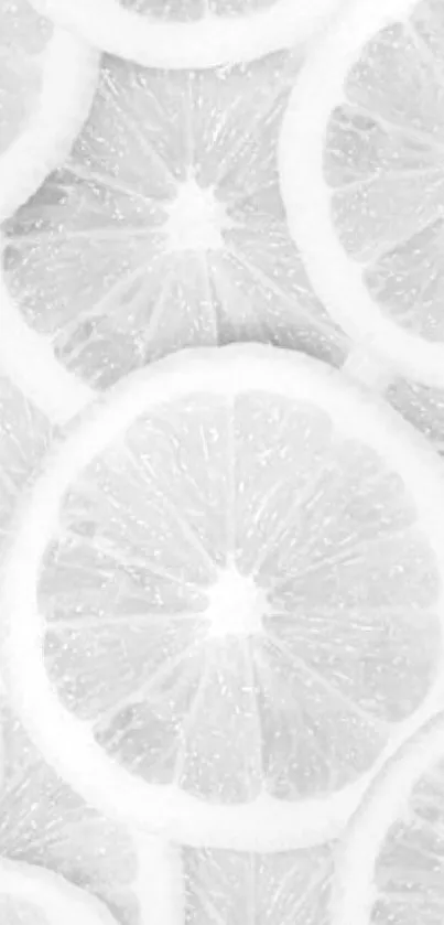 Monochrome citrus slices wallpaper in a minimalist black and white design.