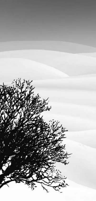 Monochrome wallpaper with a desert landscape and tree silhouette.