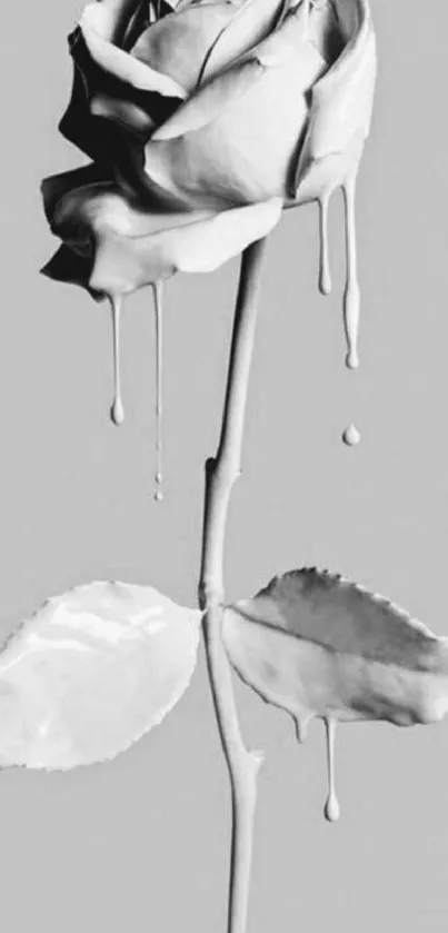 Monochrome rose with dripping paint effect on a stylish background.