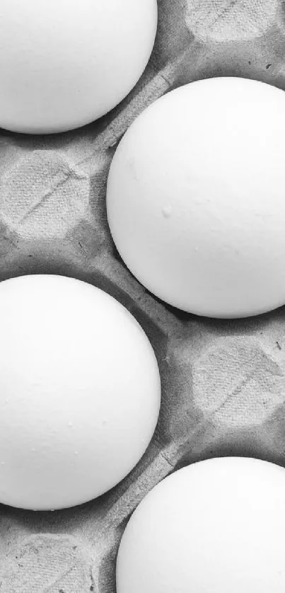 Monochrome eggs neatly arranged in a carton pattern.