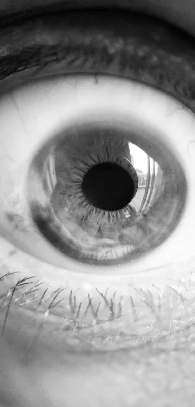 Close-up monochrome image of a human eye with intricate detail.