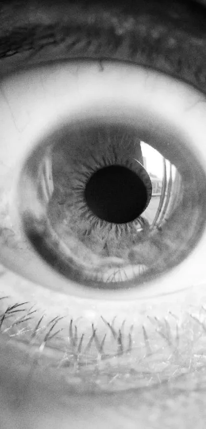 Monochrome close-up detail of a human eye in grayscale.