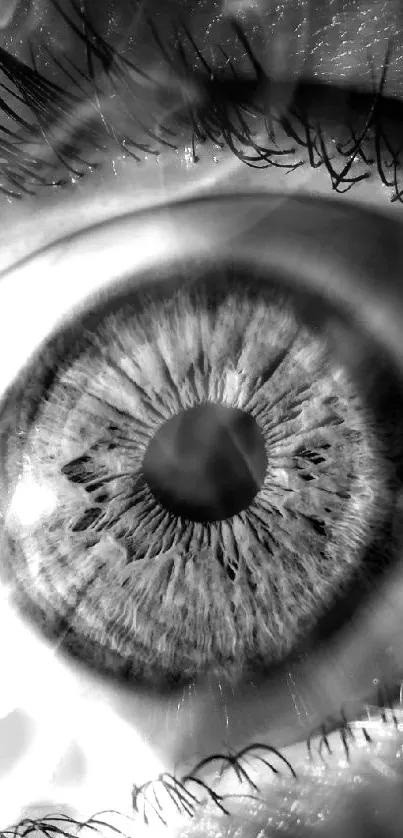 Monochrome close-up of an eye showcasing intricate details and textures.