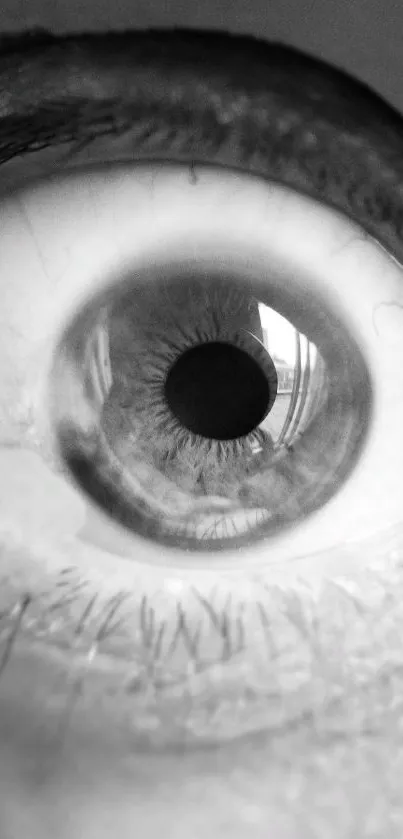 Monochrome close-up of a human eye, artistic wallpaper.