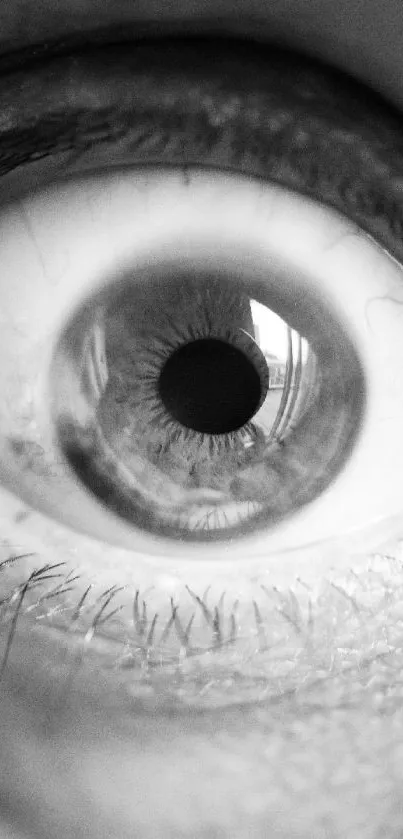 Monochrome close-up of a human eye wallpaper.