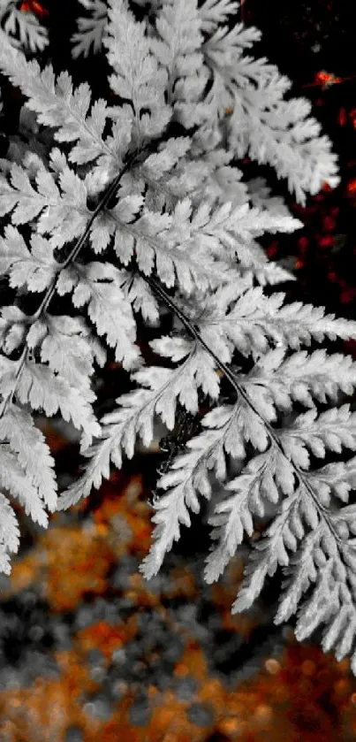 Monochrome fern leaves on red background wallpaper.