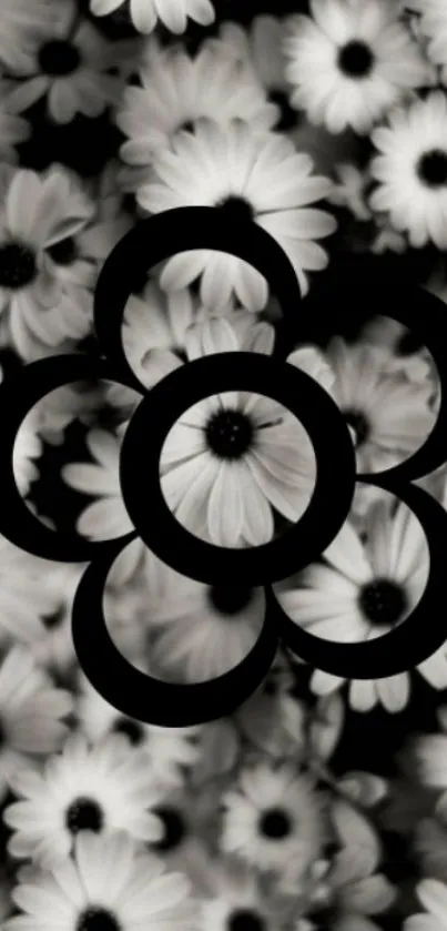 Monochrome flower design wallpaper with abstract circles over daisies.