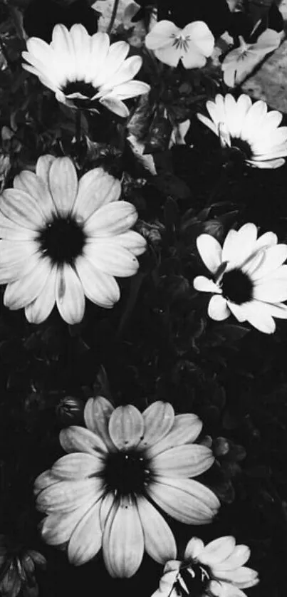 Black and white mobile wallpaper with monochrome flowers.