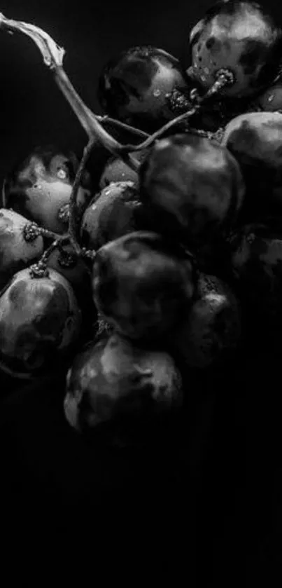 Moody black and white grape cluster on dark background.