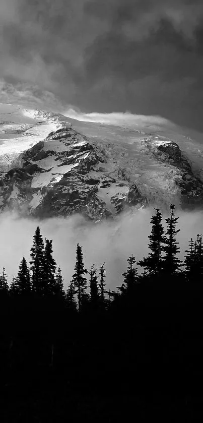 Monochrome mountain with snowy peaks and silhouetted trees.