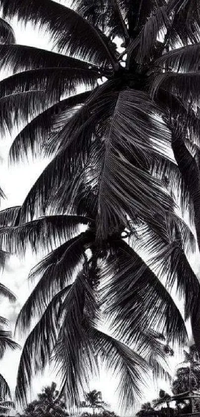 Black and white palm trees in a tranquil landscape.