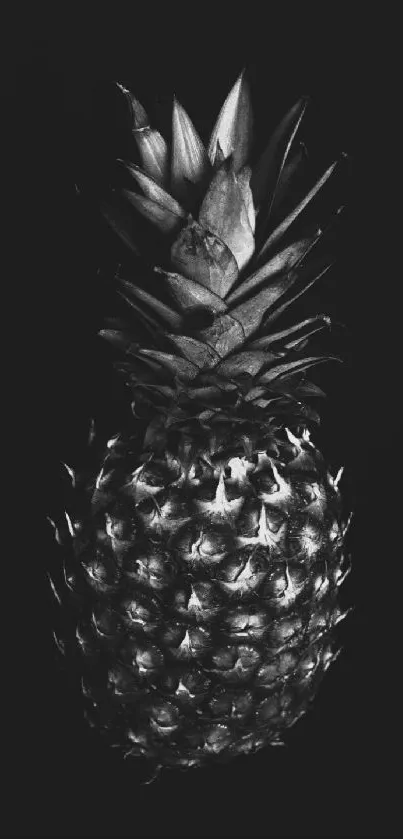 Black and white pineapple on dark background.