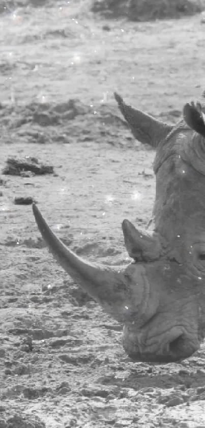 Monochrome image of a rhinoceros in natural habitat.