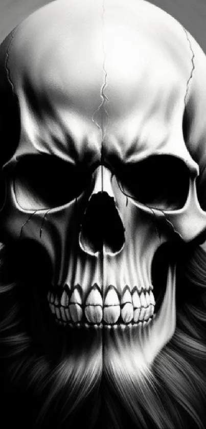 Monochrome skull art wallpaper with dark dramatic design.