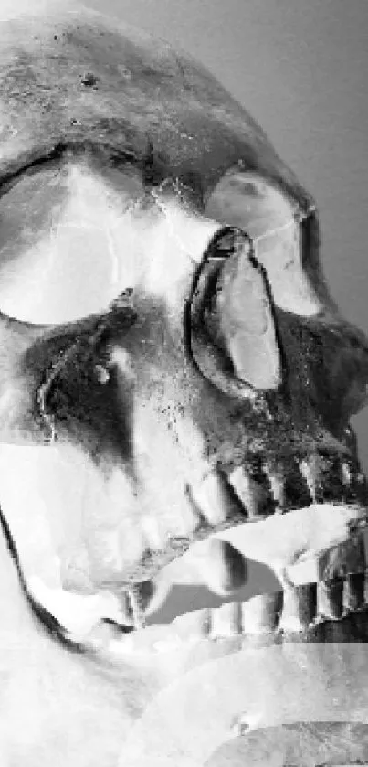 Monochrome skull art wallpaper with a gothic style.