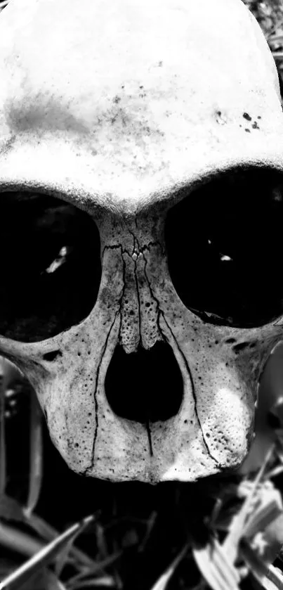 Monochrome skull with a gothic feel for phone wallpaper.