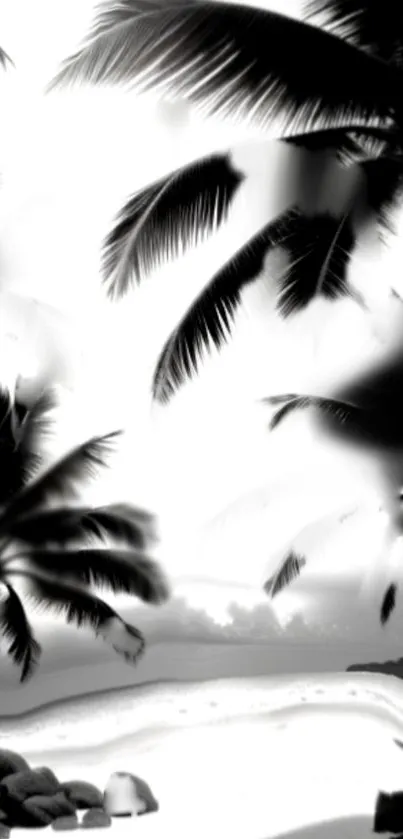 Monochrome wallpaper featuring tropical palm trees on a serene beach.