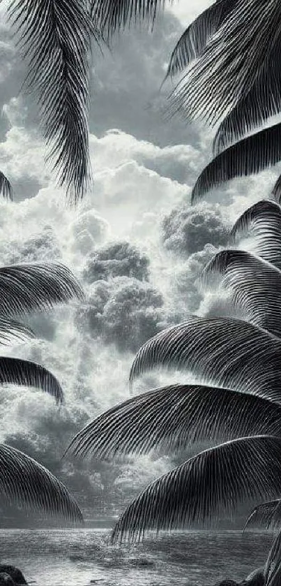 Monochrome tropical wallpaper with palms and clouds.