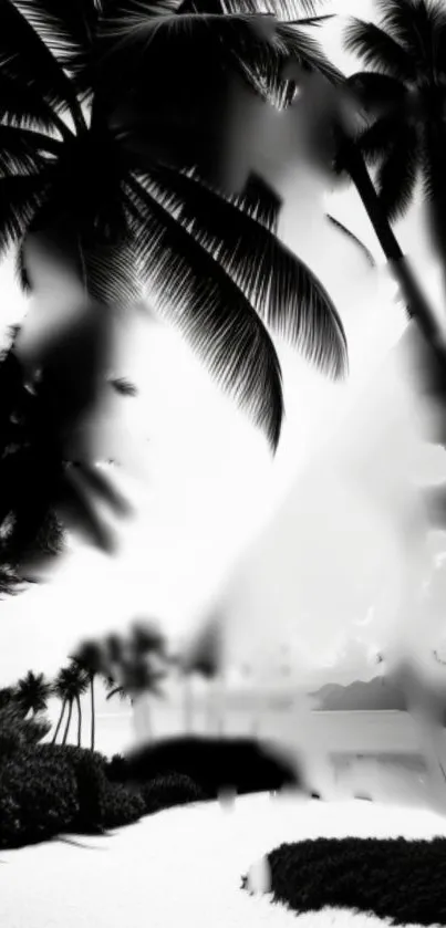 Monochrome tropical beach with palm trees in silhouette.