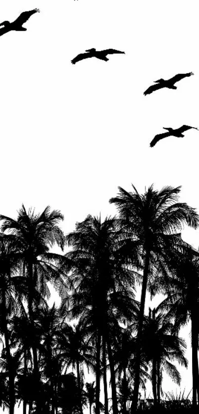 Monochrome palm tree silhouette with birds flying overhead.