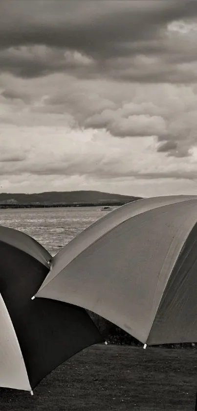 Monochrome umbrellas by the sea under a cloudy sky.