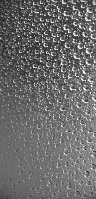 Monochrome water droplets on phone wallpaper, creating elegant texture.