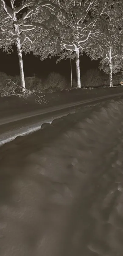 Monochrome winter road with snow-laden trees under a starry night sky.