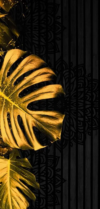 Golden monstera leaves on a black sleek background.