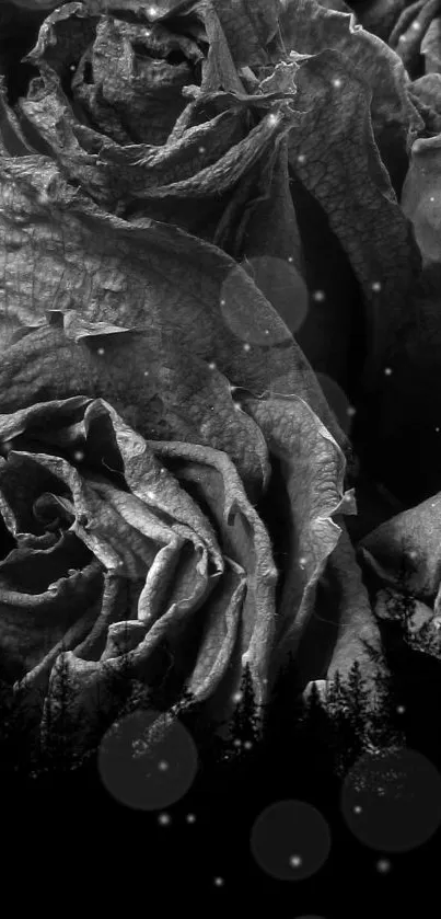 Black and white wallpaper of wilted roses.