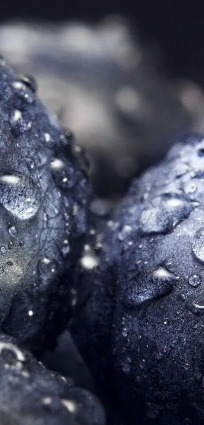 Moody close-up wallpaper of blue droplets with textured background.