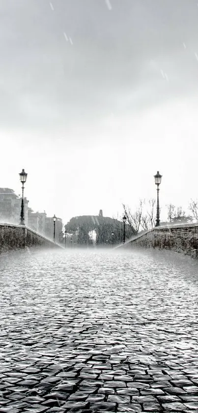 Cobblestone bridge under a cloudy sky, creating a moody atmosphere.