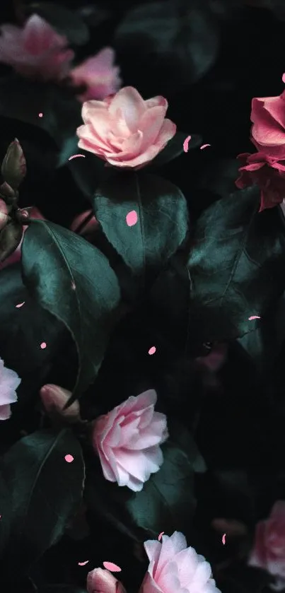 Moody floral wallpaper with pink flowers and dark green leaves.