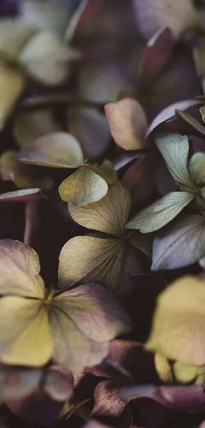 Moody floral wallpaper with faded hydrangeas.