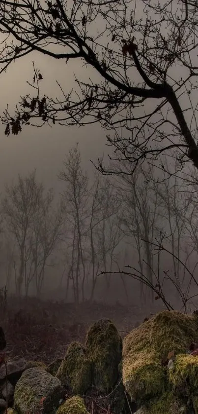 Misty forest with mossy rocks and bare trees in moody light.