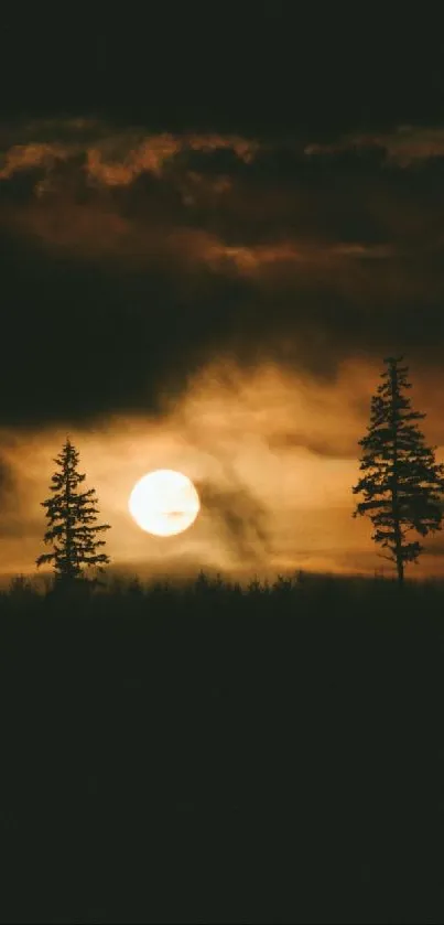 Moody nightscape with forest silhouetted against a moonlit cloudy sky.