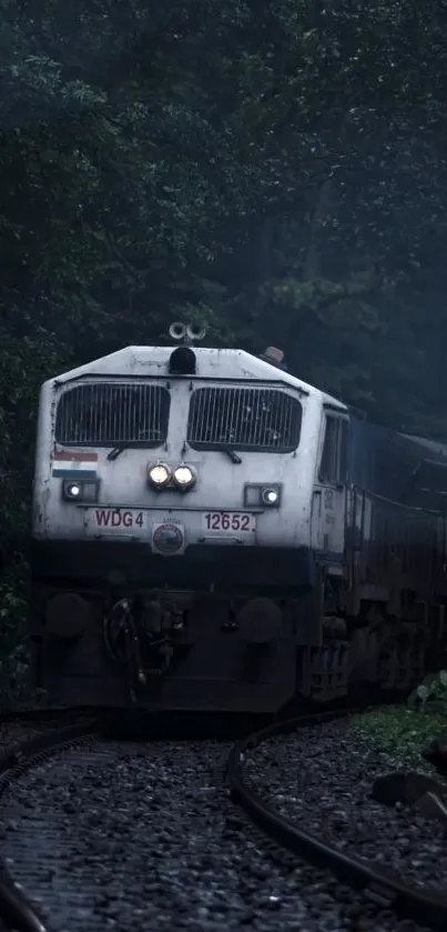 Train moving through a misty forest on a curving track.