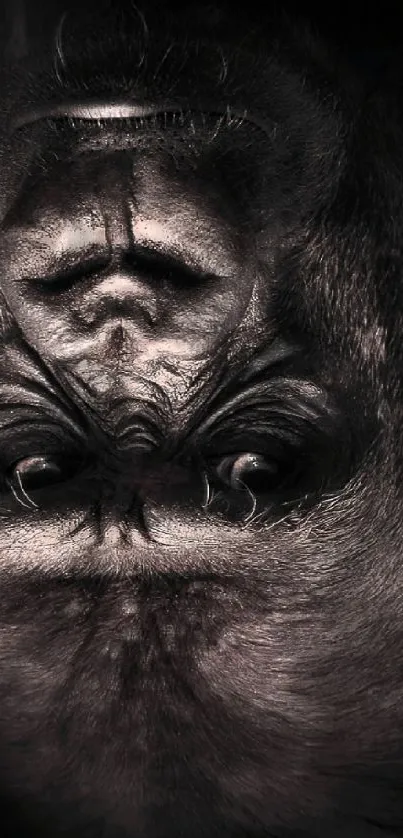 Moody gorilla art on a dark gray mobile wallpaper.